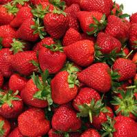 Berry amazing facts about the humble Strawberry