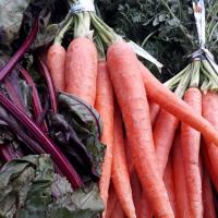 Five Interesting Facts about Carrots