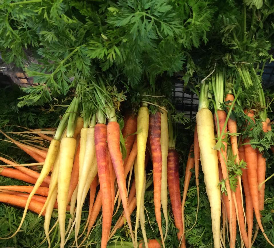 Carrots