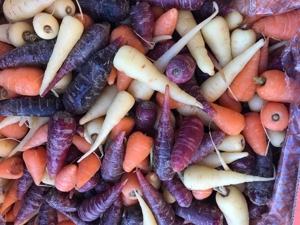 Carrots