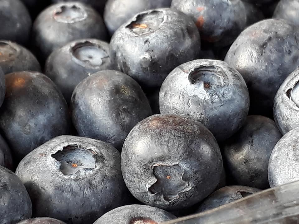 Blueberries