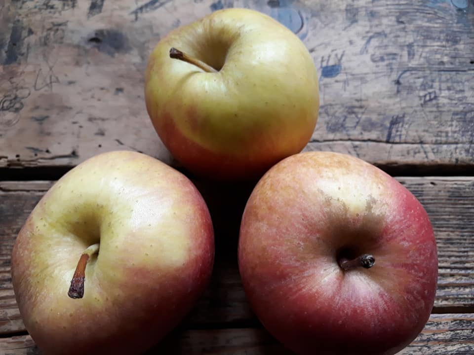 Apples