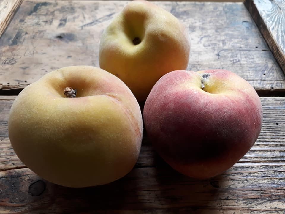 Peaches