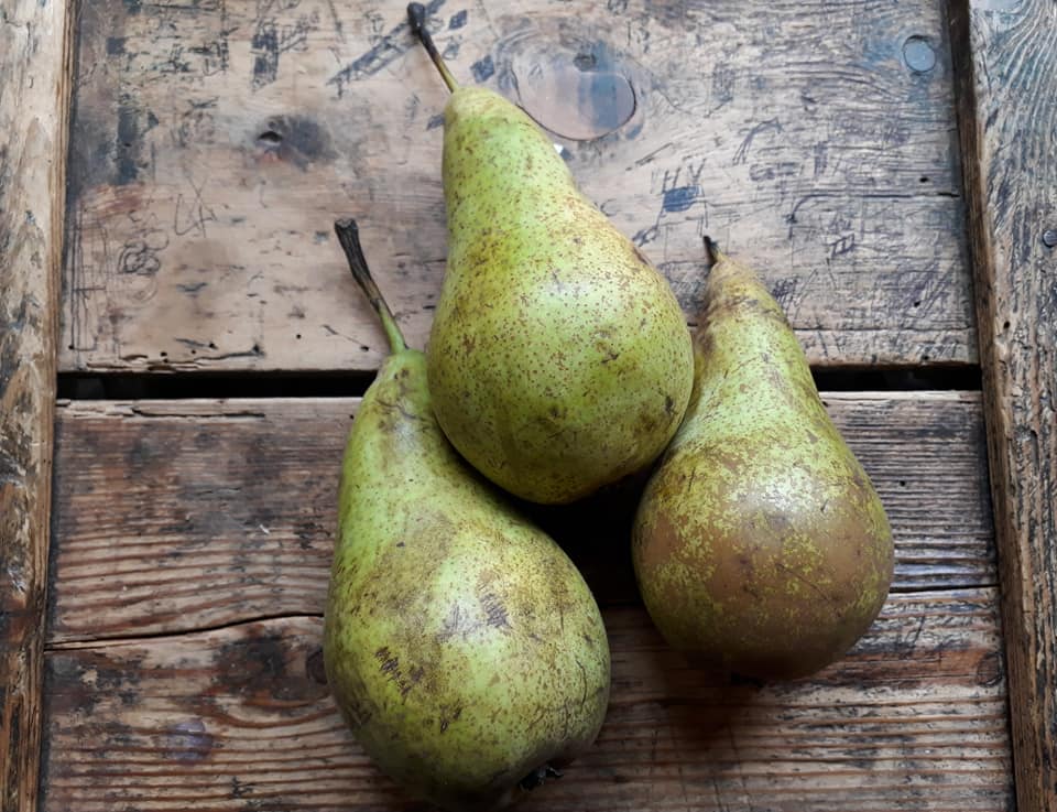 Pears