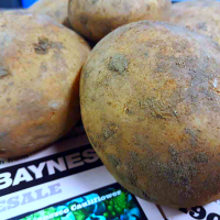 Valor Potatoes at Simon Baynes Wholesale