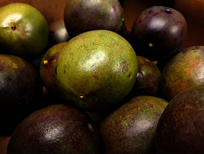 Passion Fruit